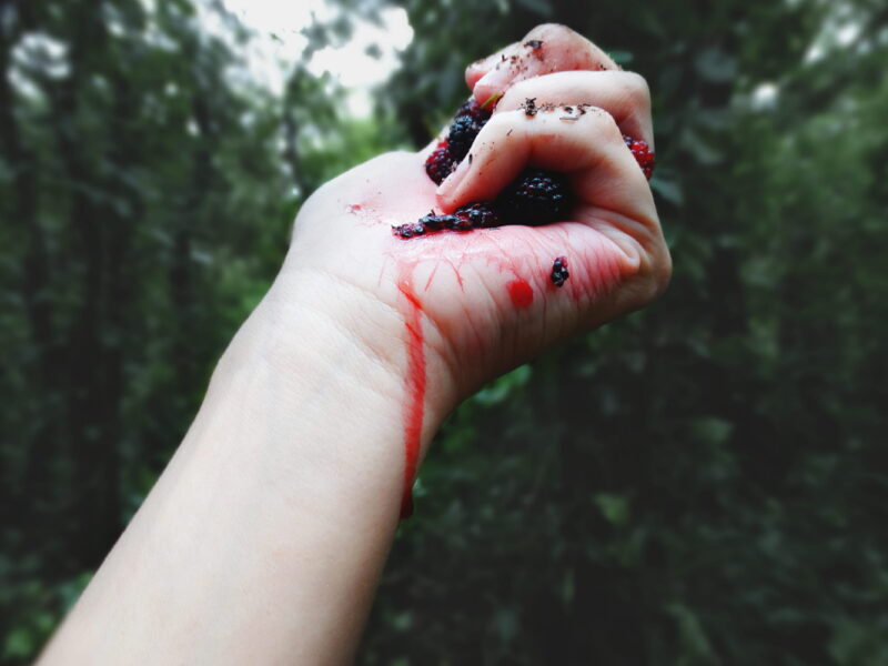 JULIA PINHEIRO CORPO-2018-03