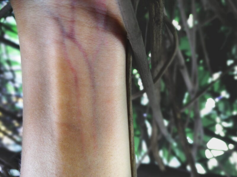 JULIA PINHEIRO CORPO-2018-07