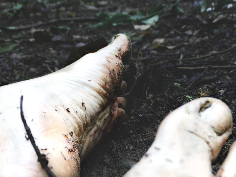 JULIA PINHEIRO CORPO-2018-08