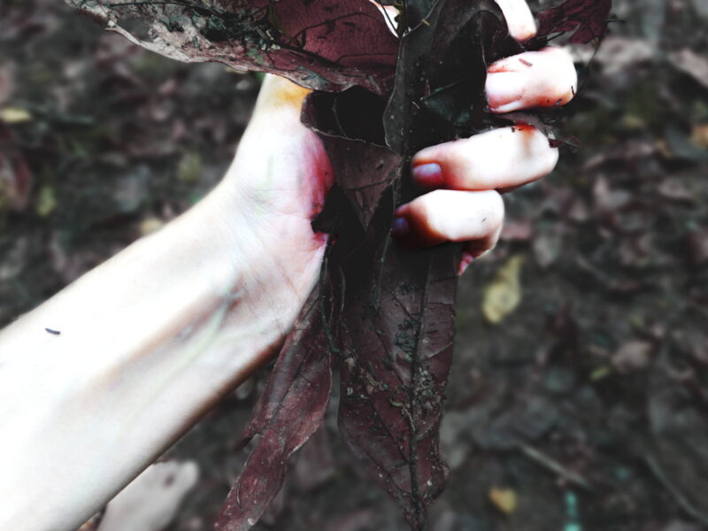 JULIA PINHEIRO CORPO-2018-09