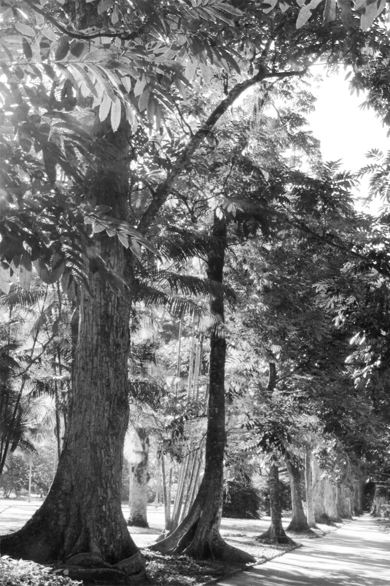 Foto-1---Thiago-Peleteiro---DRE-109027767