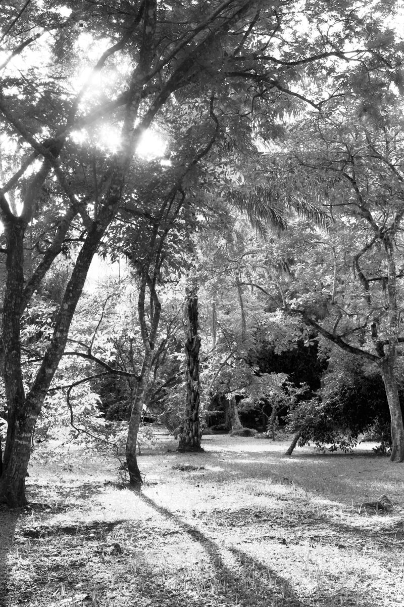 Foto-11---Thiago-Peleteiro---DRE-109027767