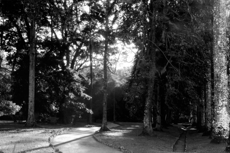 Foto-12---Thiago-Peleteiro---DRE-109027767