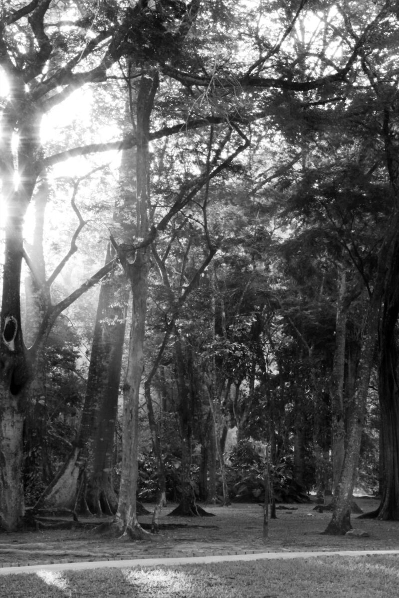 Foto-4---Thiago-Peleteiro---DRE-109027767