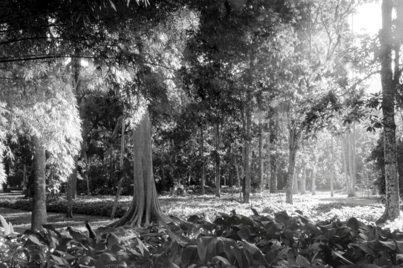 Foto-5---Thiago-Peleteiro---DRE-109027767