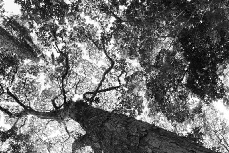 Foto-6---Thiago-Peleteiro---DRE-109027767