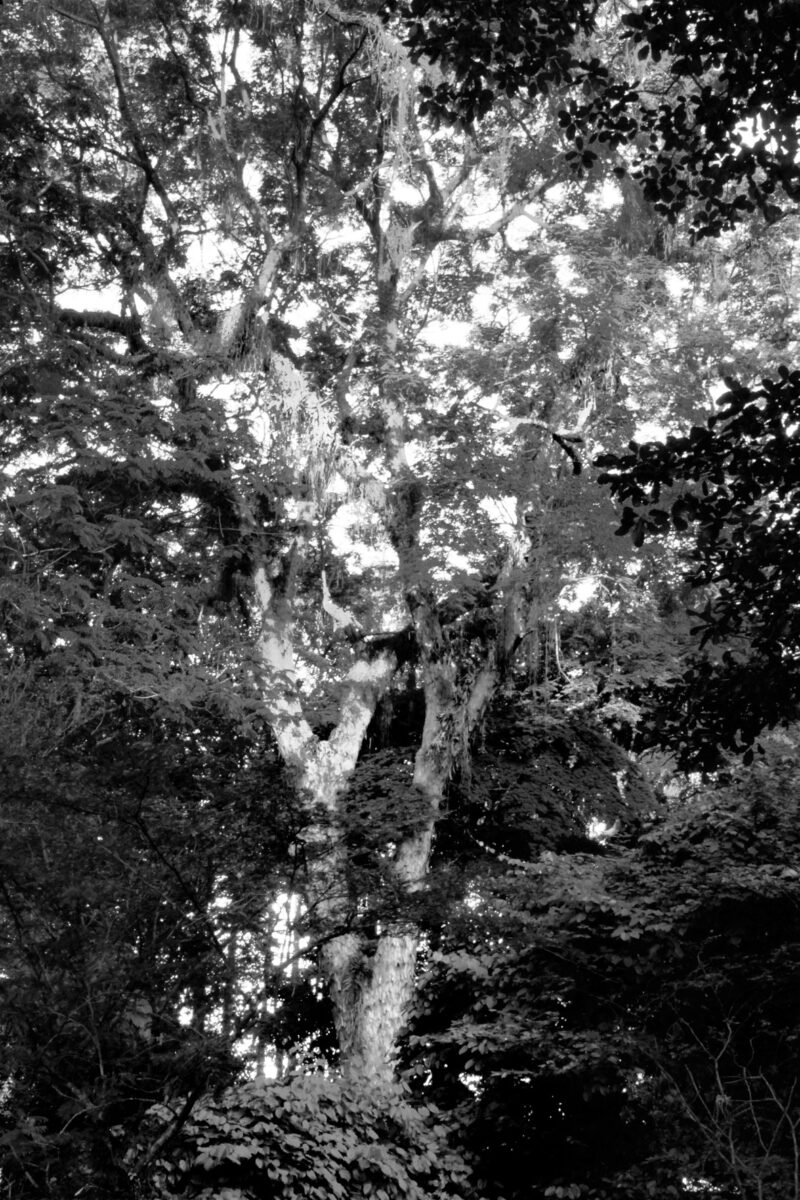 Foto-7---Thiago-Peleteiro---DRE-109027767