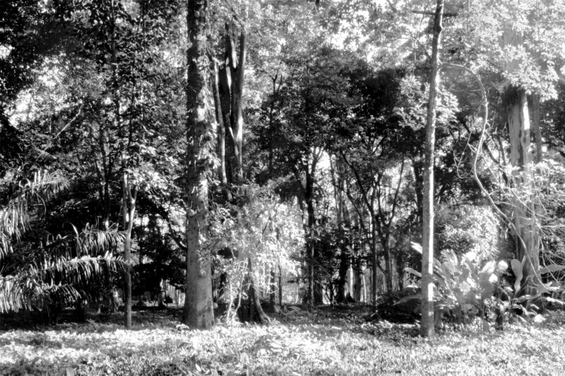 Foto-8---Thiago-Peleteiro---DRE-109027767