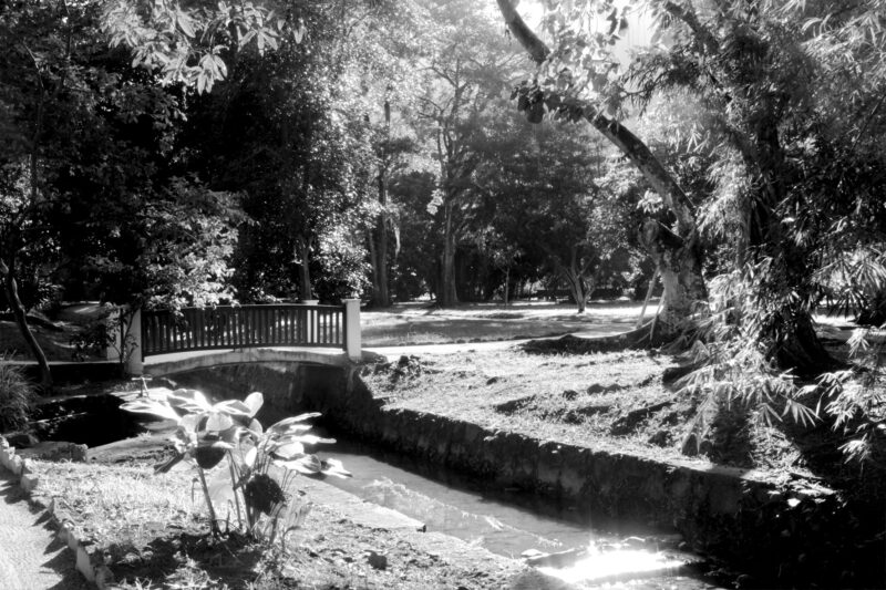 Foto-9---Thiago-Peleteiro---DRE-109027767