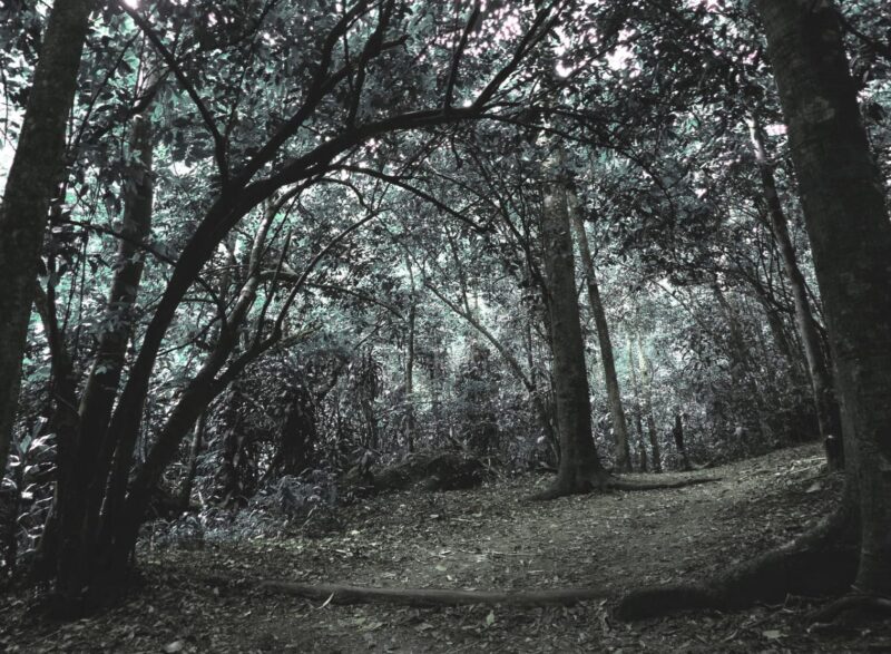 Fotos_Barbara_Hugo_Klauss-copy-03