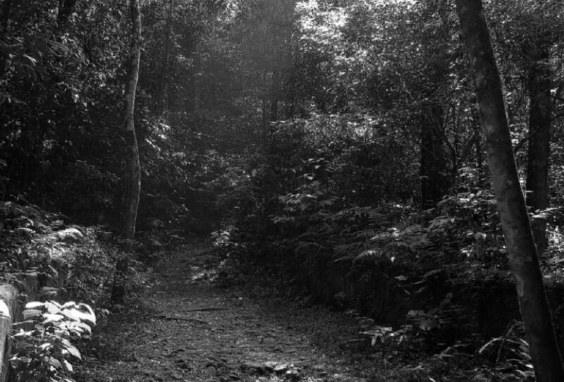 Fotos_Barbara_Hugo_Klauss-copy-04