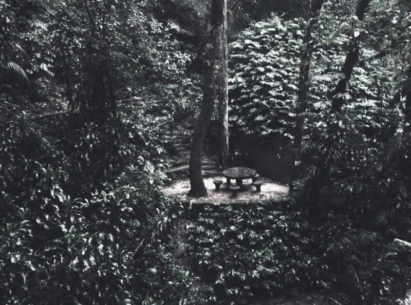 Fotos_Barbara_Hugo_Klauss-copy-05