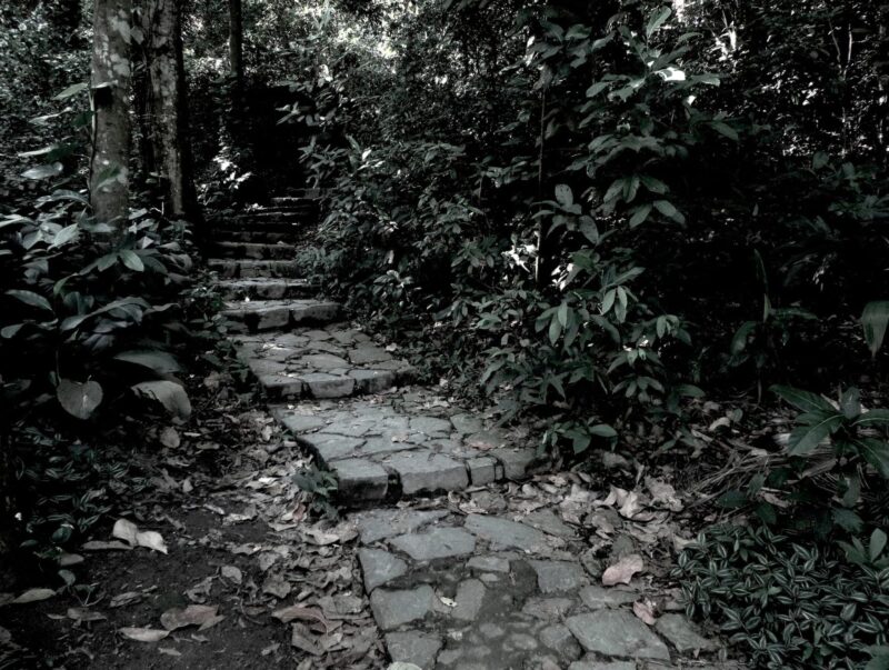 Fotos_Barbara_Hugo_Klauss-copy-06