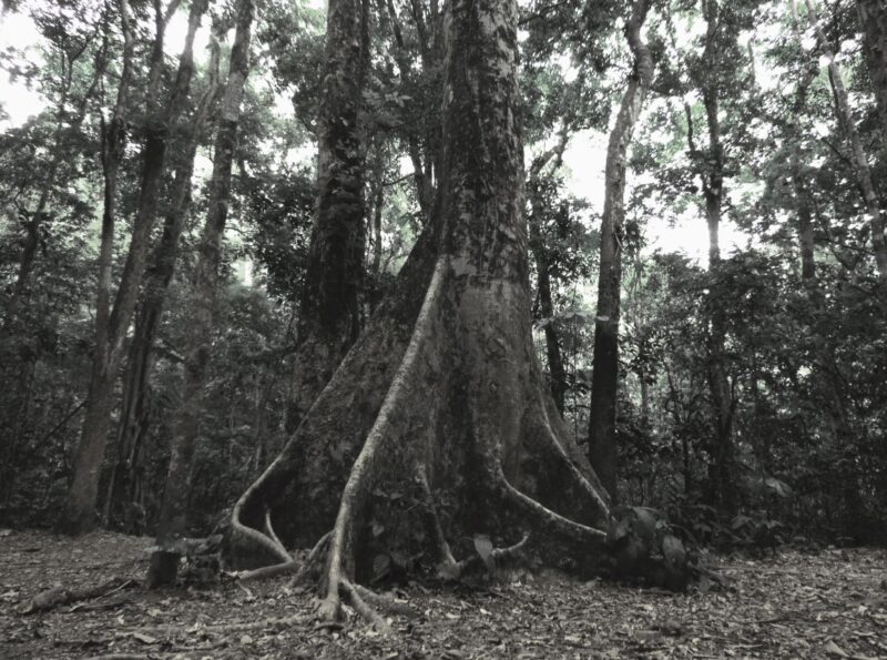 Fotos_Barbara_Hugo_Klauss-copy-07