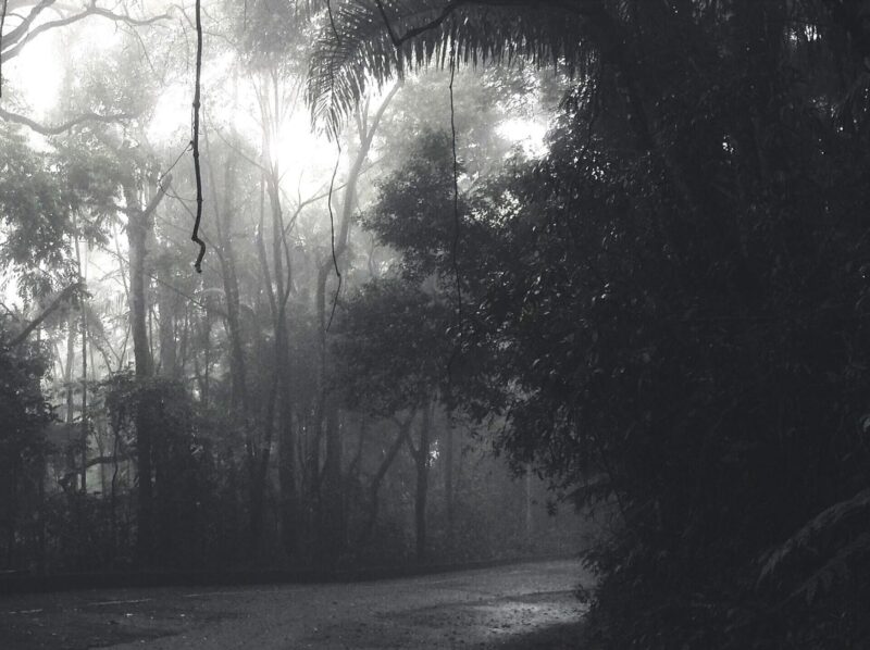 Fotos_Barbara_Hugo_Klauss-copy-08