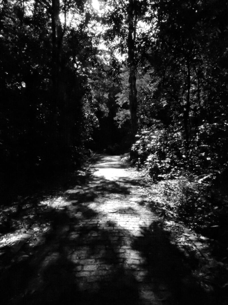 Fotos_Barbara_Hugo_Klauss-copy-09