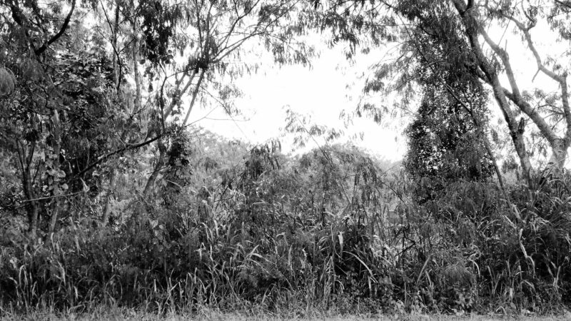 IMG_20150615_163622486---PB