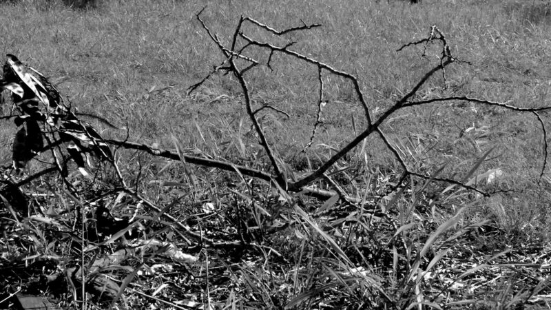 IMG_20150623_101006939---PB