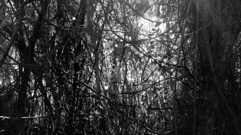 IMG_20150623_101843914_TOP---PB