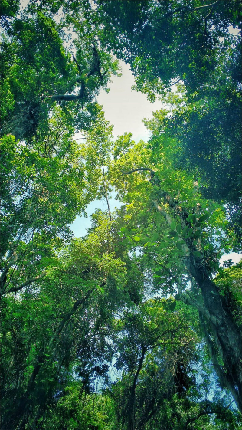 Rayane-Alvim-SELECAO-01