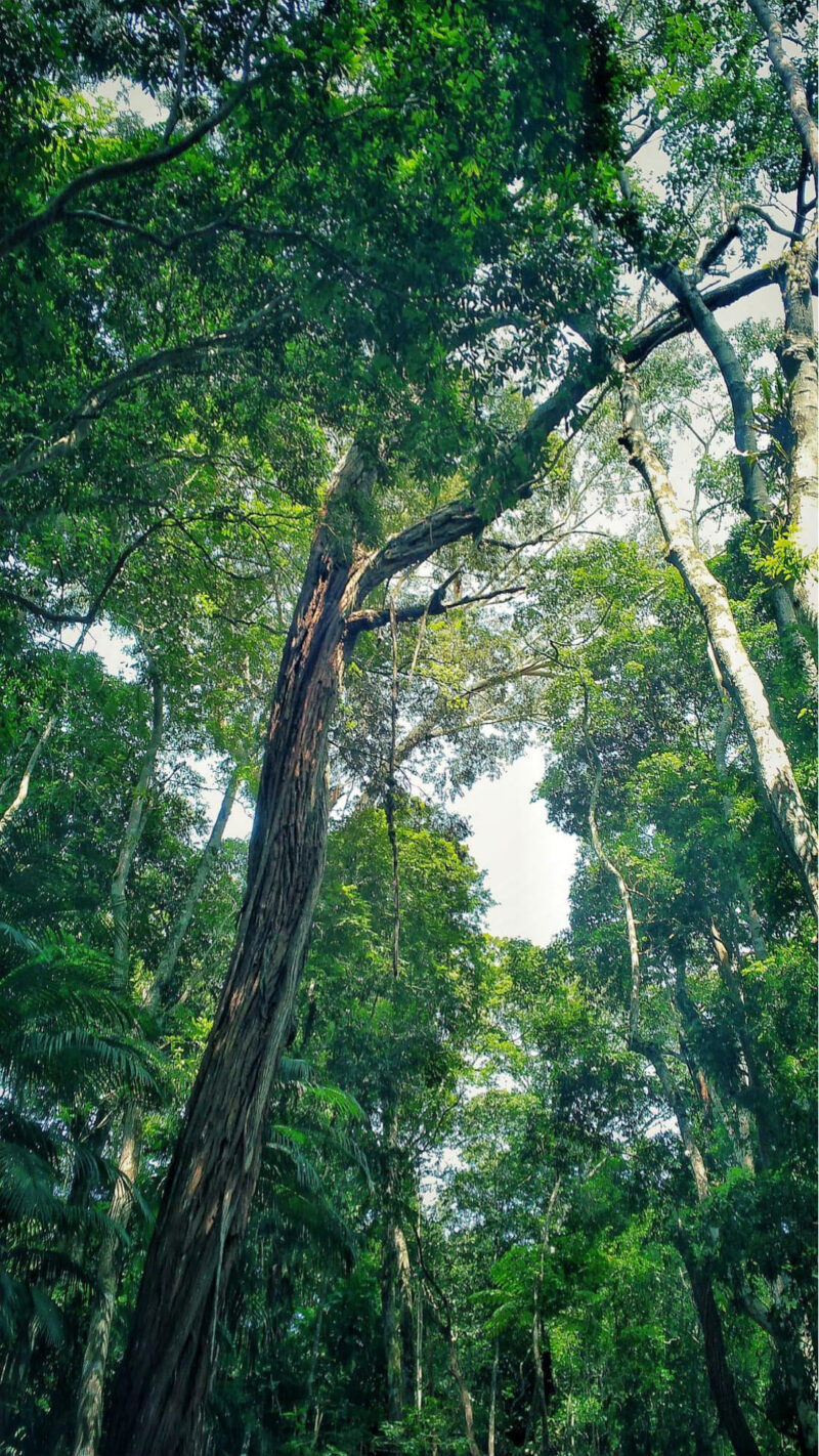 Rayane-Alvim-SELECAO-02