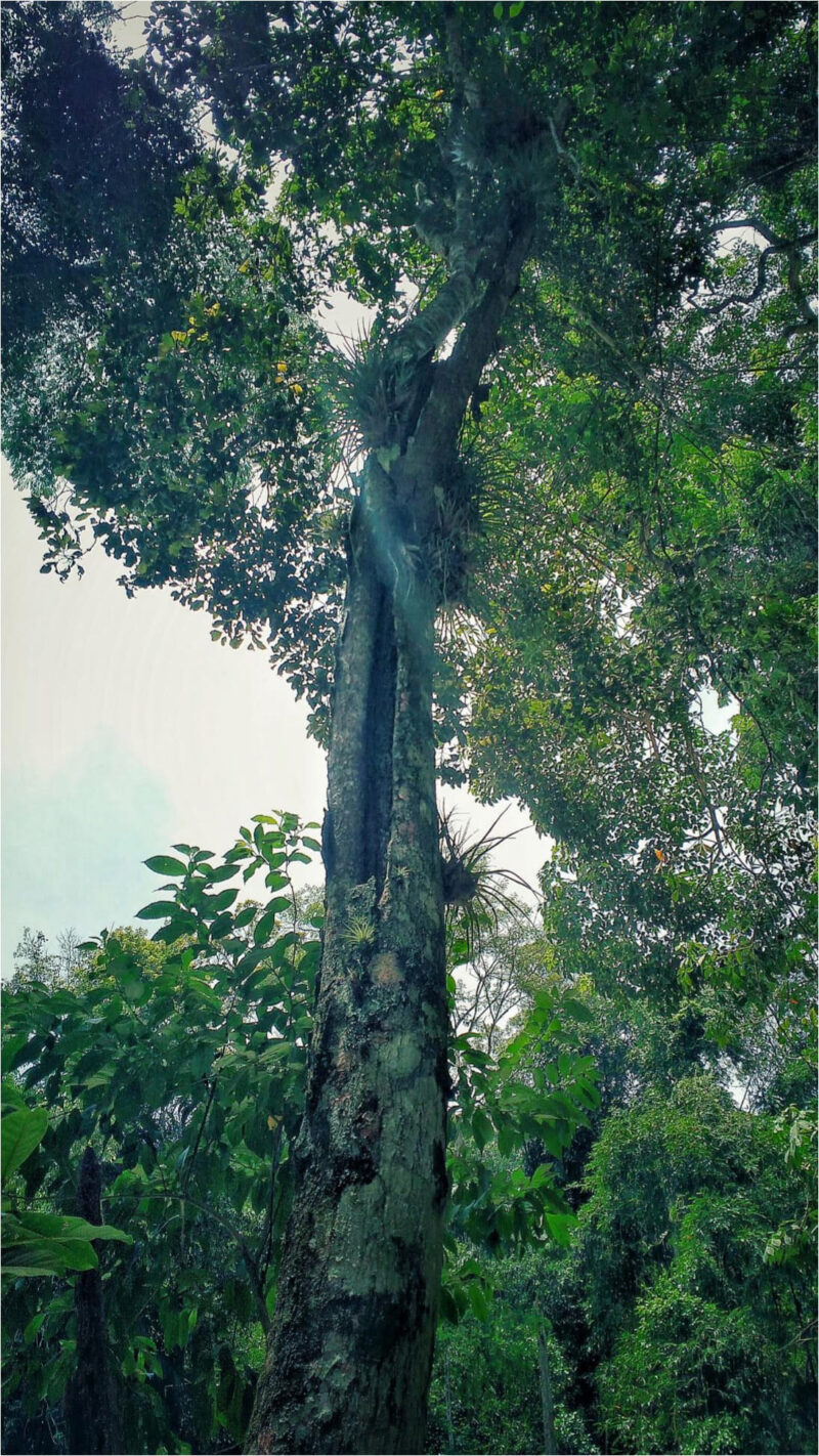 Rayane-Alvim-SELECAO-03