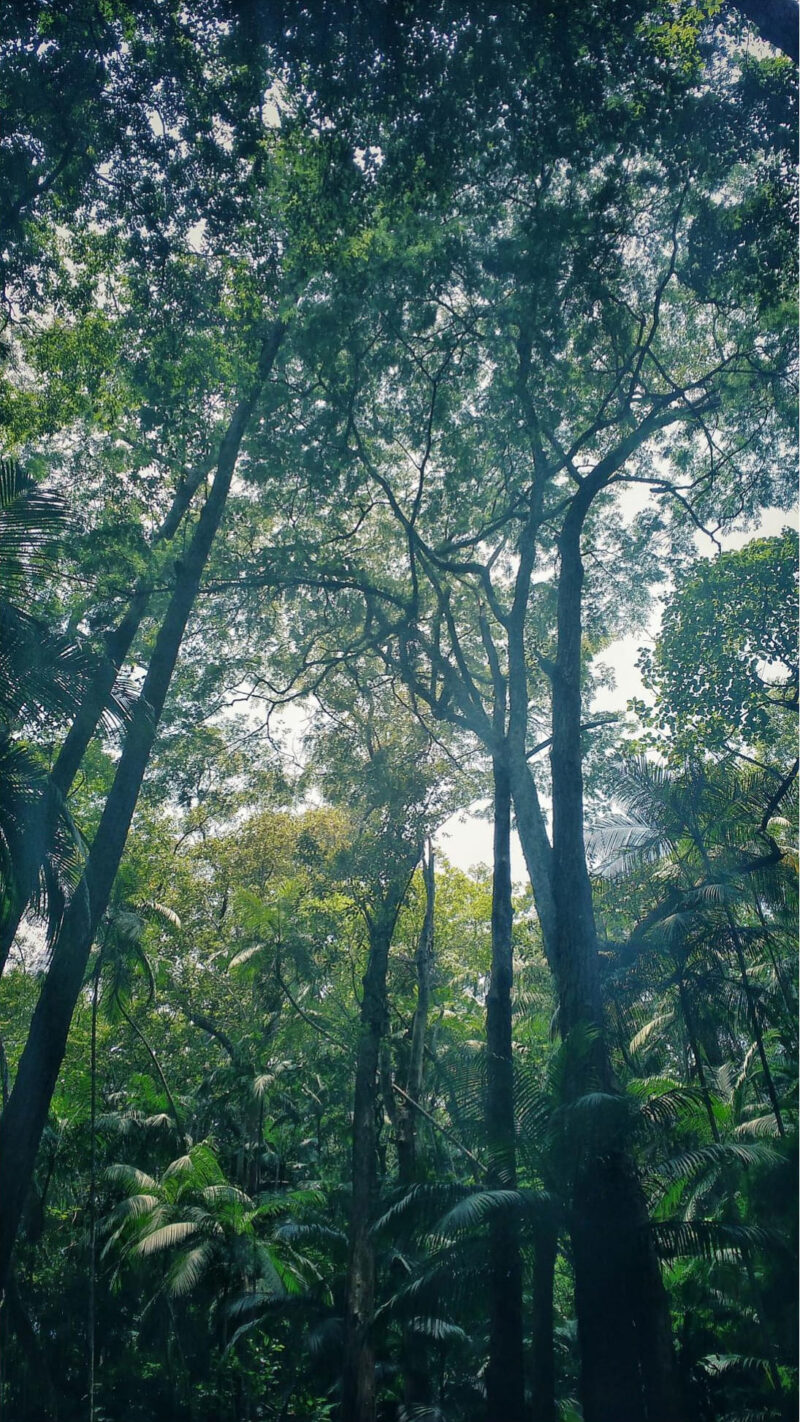 Rayane-Alvim-SELECAO-04