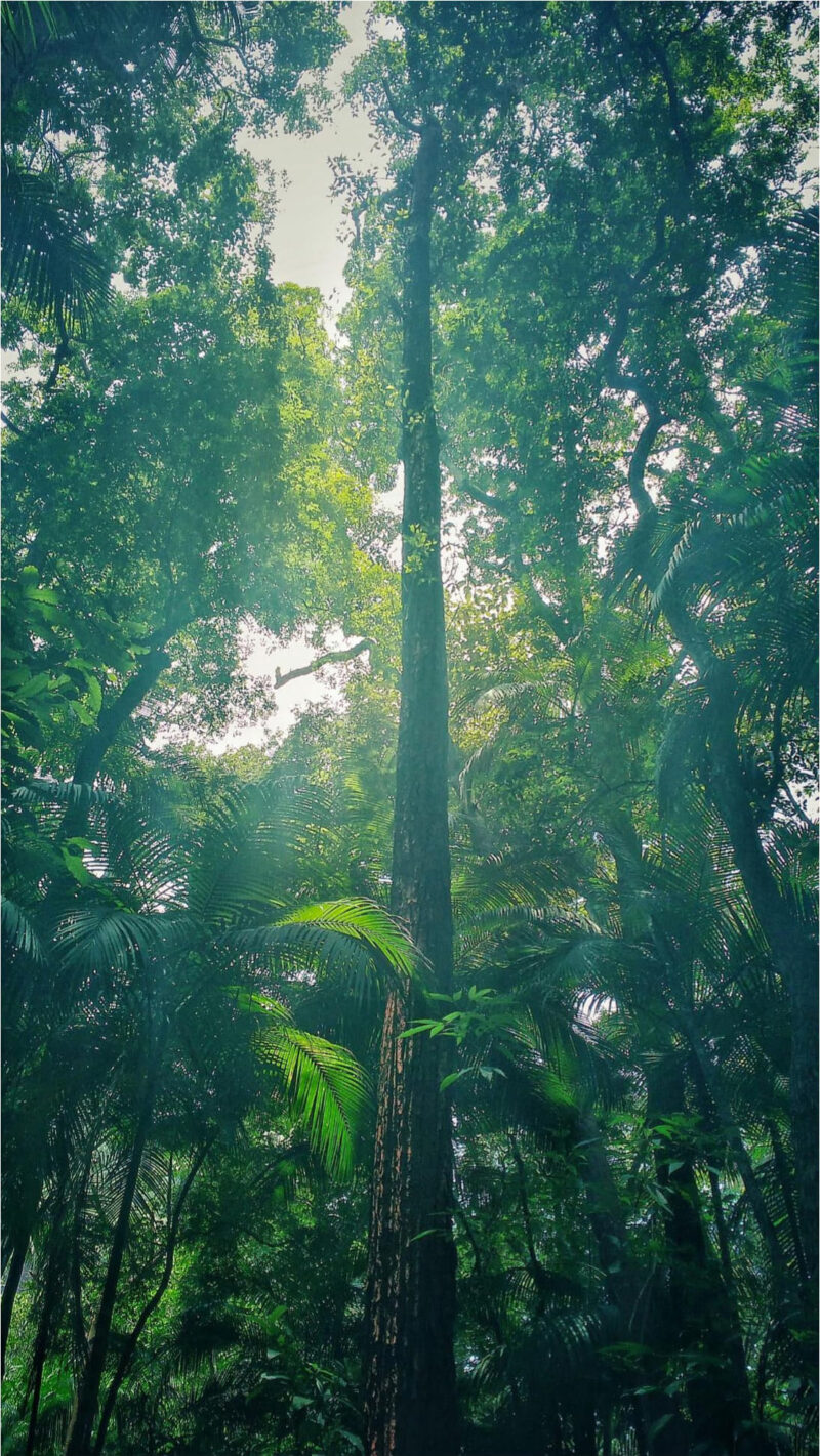 Rayane-Alvim-SELECAO-05