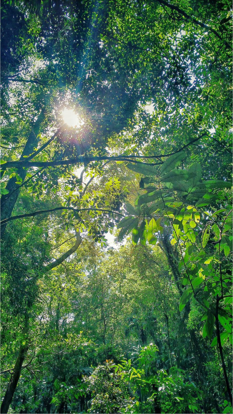 Rayane-Alvim-SELECAO-06