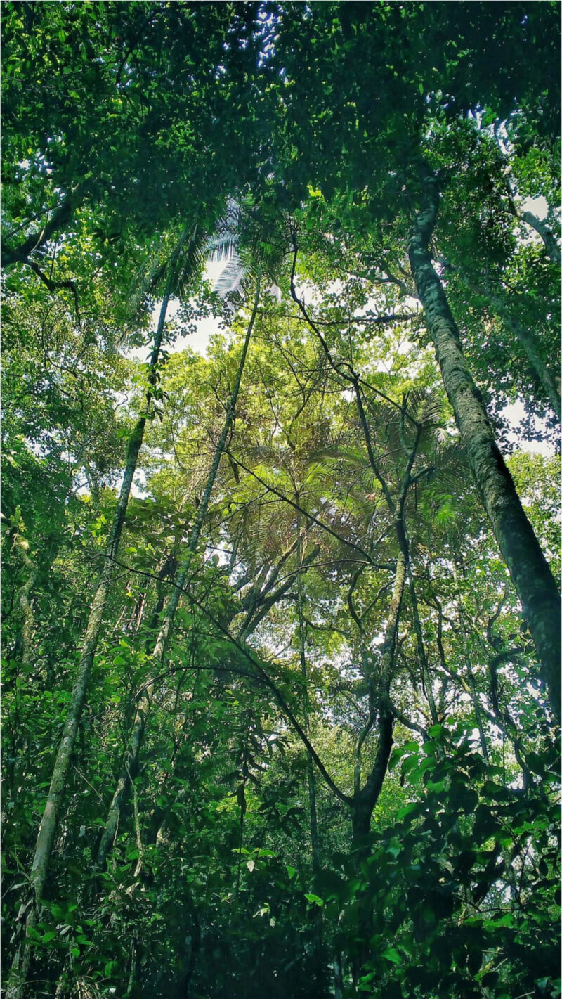 Rayane-Alvim-SELECAO-07