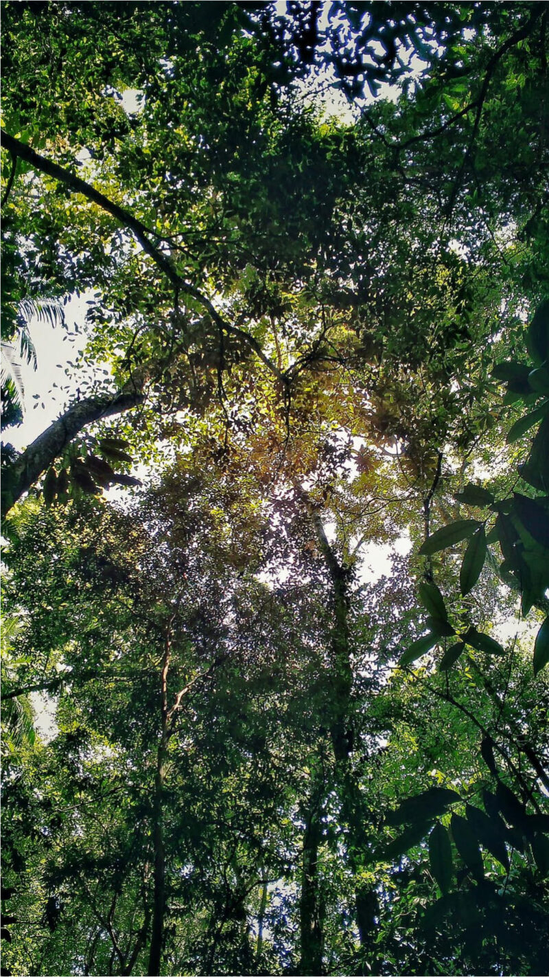 Rayane-Alvim-SELECAO-08