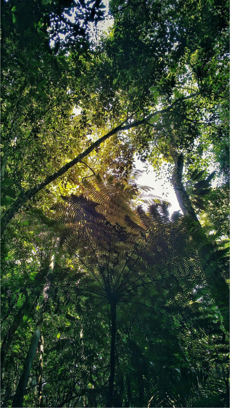 Rayane-Alvim-SELECAO-09