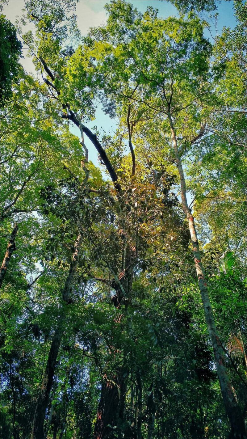 Rayane-Alvim-SELECAO-10