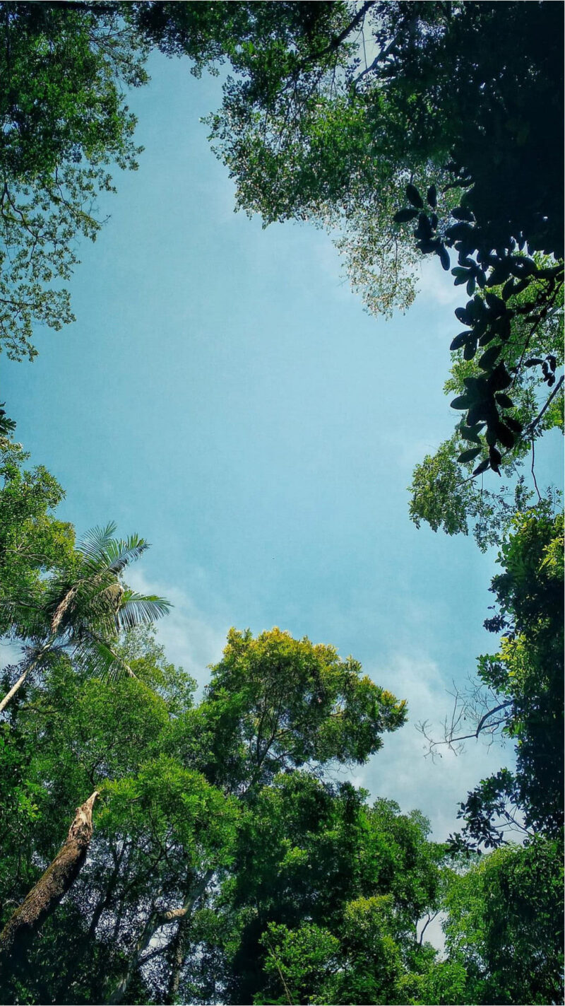 Rayane-Alvim-SELECAO-11