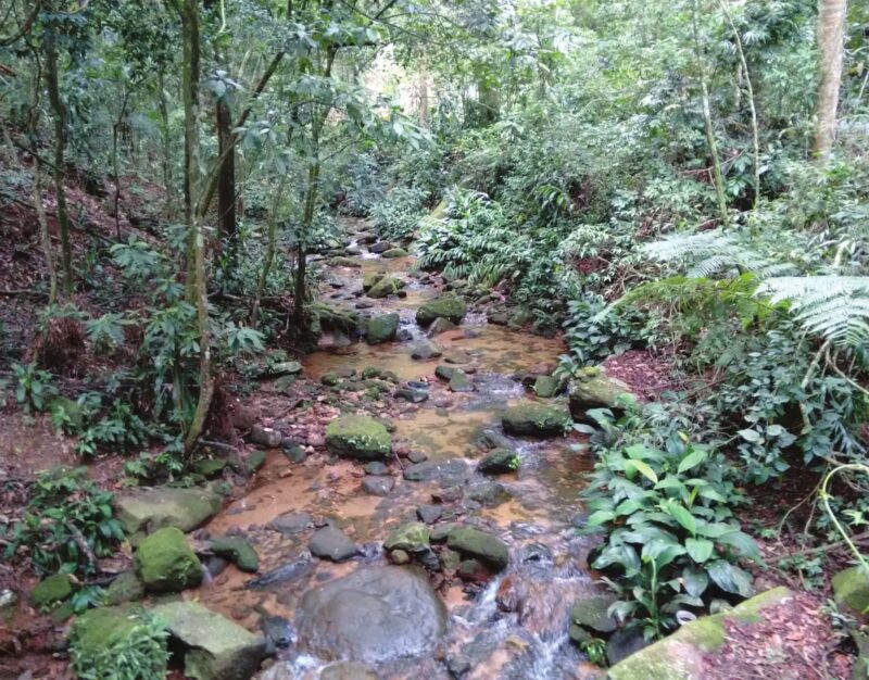 fotos isadora-lucas copy-3