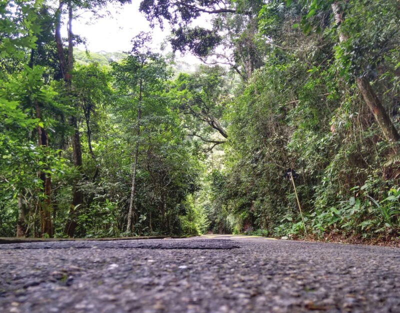 fotos-isadora-lucas-copy-9