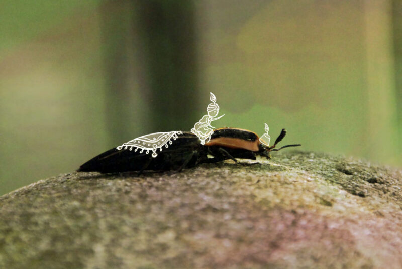 Pedro-Alvarez-copy-4