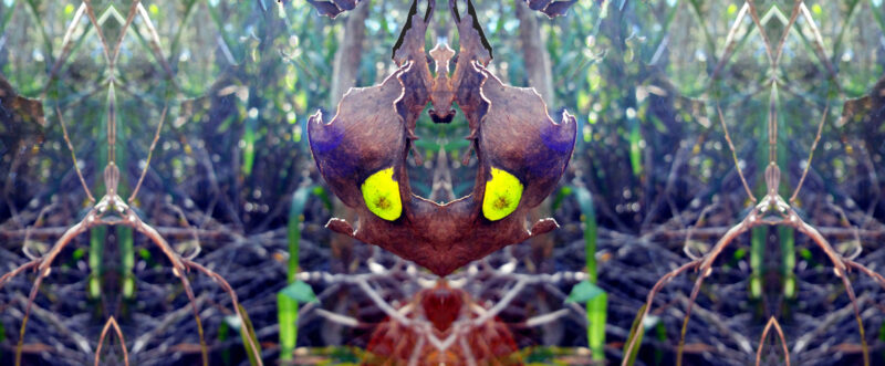 Raquel-Carvalho-copy-1