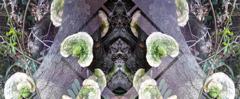 Raquel-Carvalho-copy-3