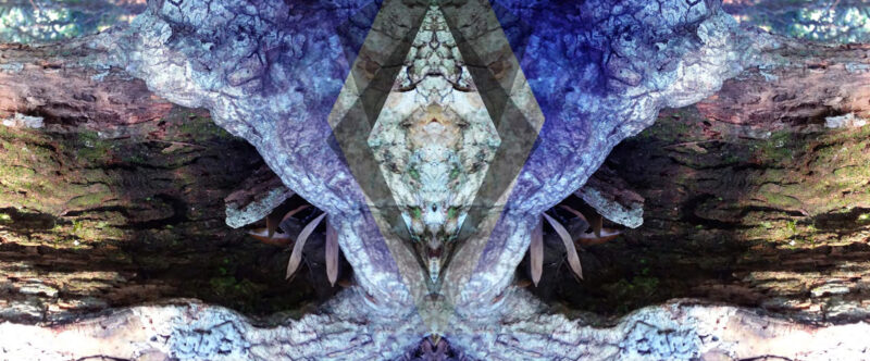 Raquel-Carvalho-copy-4