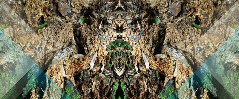 Raquel-Carvalho-copy-6