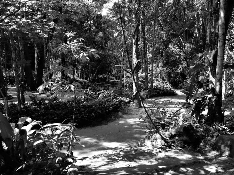 72 PAULO VITOR OLIVEIRA MOREIRA 1