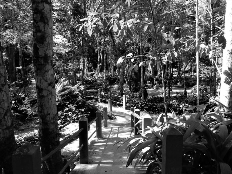 72 PAULO VITOR OLIVEIRA MOREIRA 2