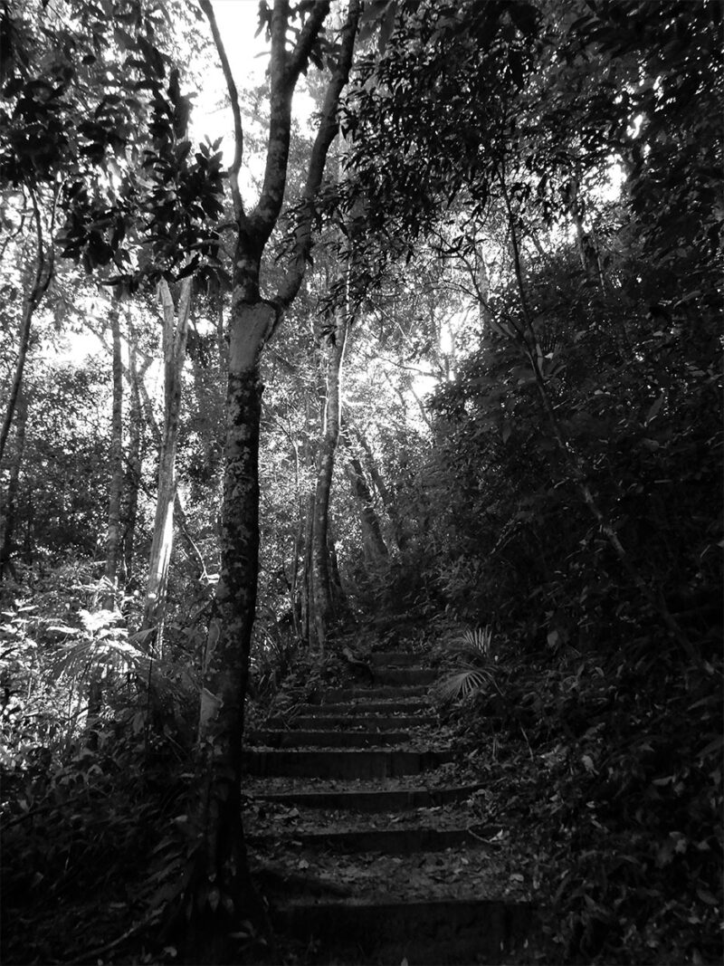 72 PAULO VITOR OLIVEIRA MOREIRA 4