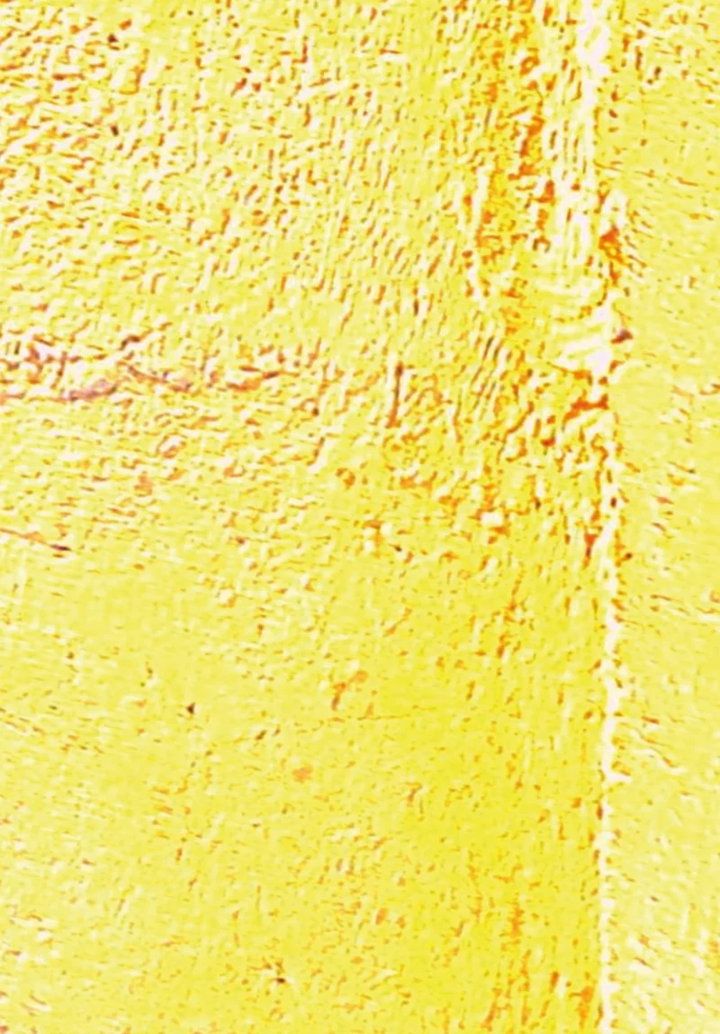 Douglas-Borba-ENSAIO-1