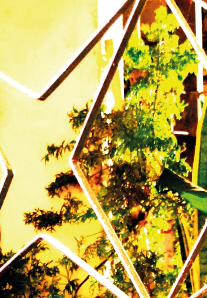 Douglas-Borba-ENSAIO-2