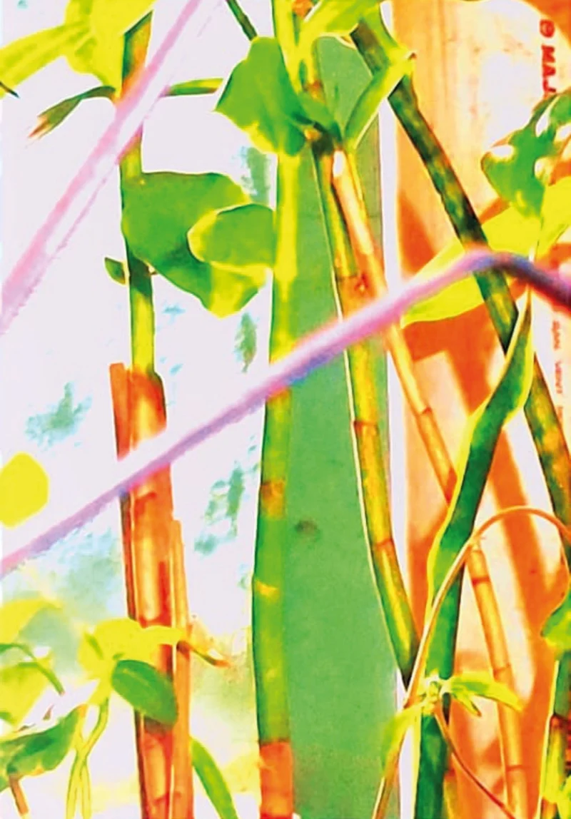 Douglas-Borba-ENSAIO-3