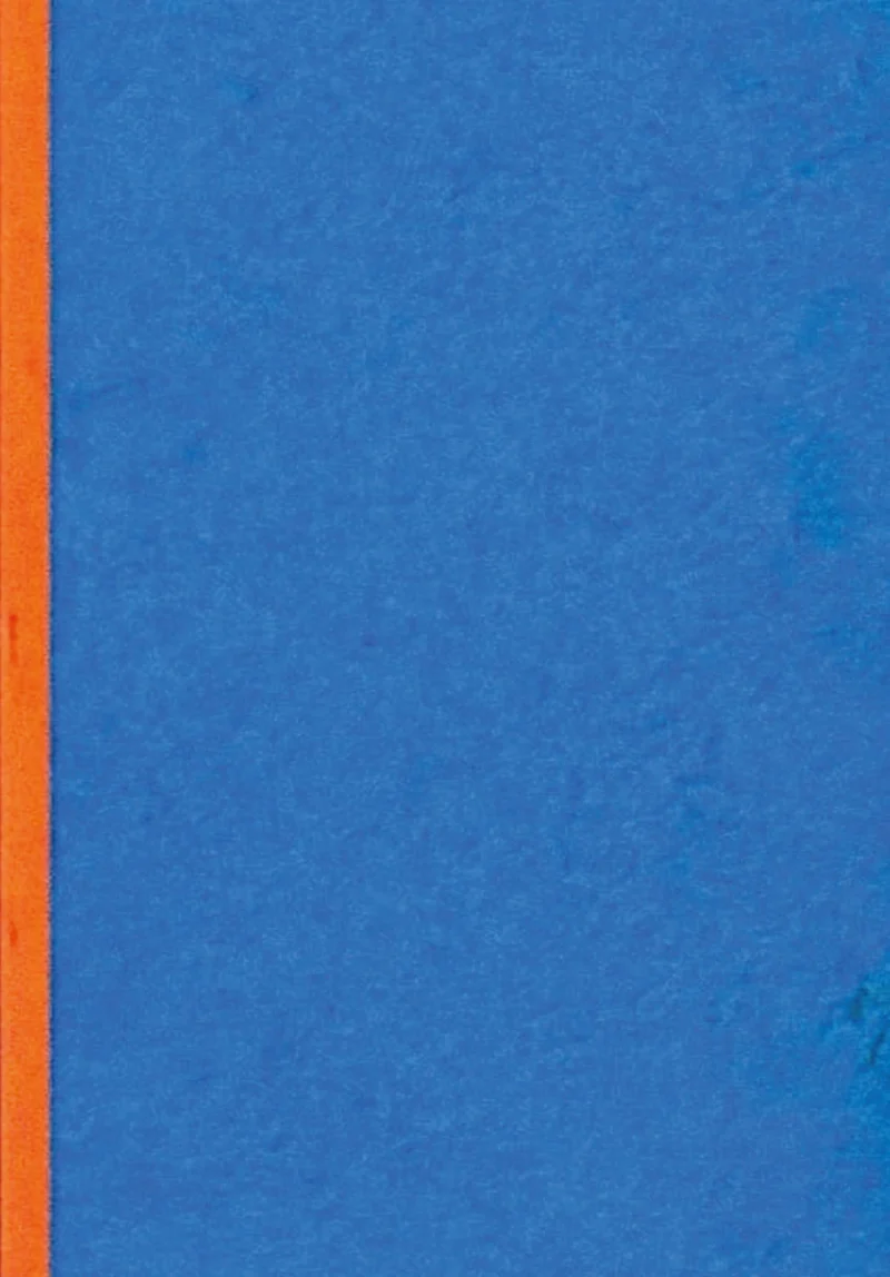 Douglas-Borba-ENSAIO-6