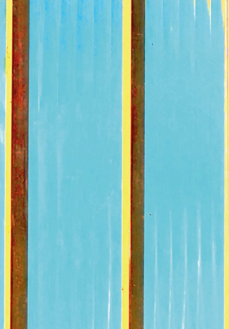 Douglas-Borba-ENSAIO-8