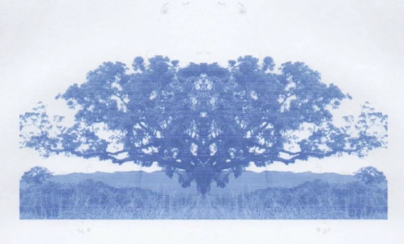 Poliana-Luiza-ENSAIO-9